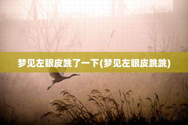 梦见左眼皮跳了一下(梦见左眼皮跳跳)