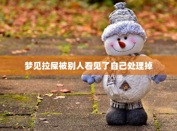 梦见拉屎被别人看见了自己处理掉