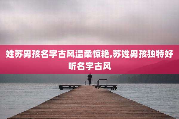 姓苏男孩名字古风温柔惊艳,苏姓男孩独特好听名字古风