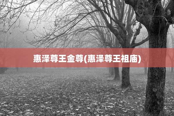 惠泽尊王金尊(惠泽尊王祖庙)