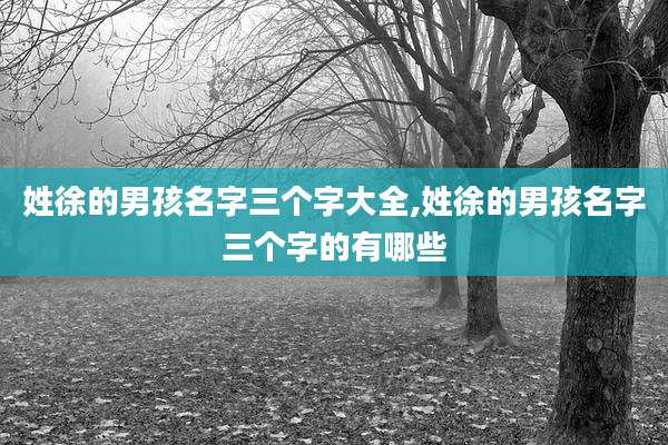 姓徐的男孩名字三个字大全,姓徐的男孩名字三个字的有哪些
