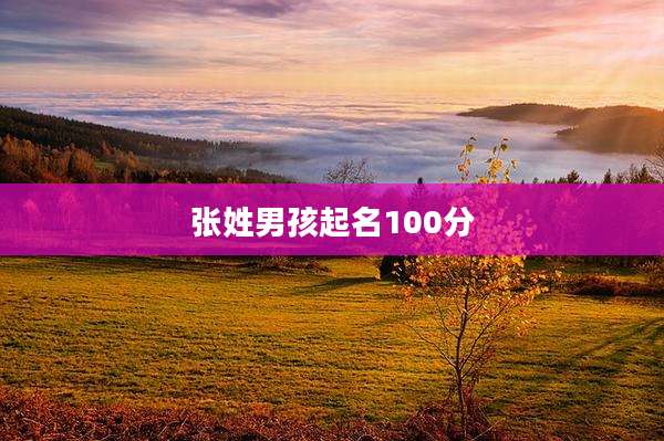 张姓男孩起名100分