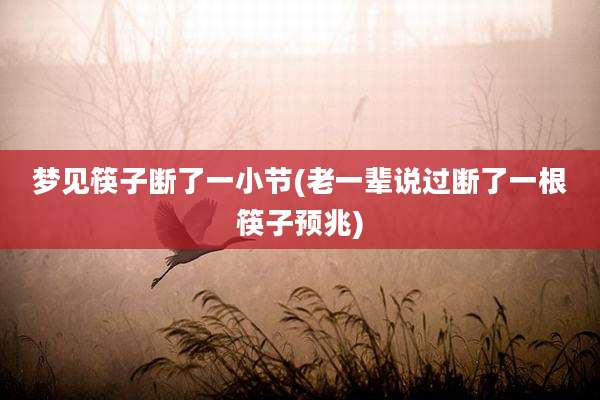梦见筷子断了一小节(老一辈说过断了一根筷子预兆)