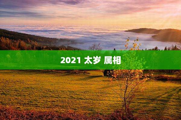2021 太岁 属相