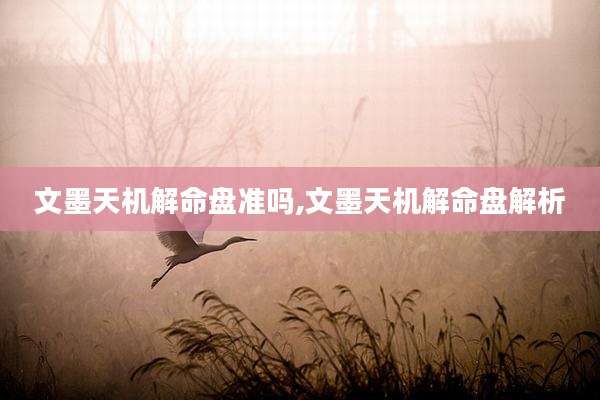文墨天机解命盘准吗,文墨天机解命盘解析