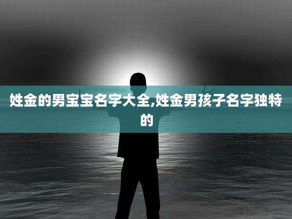 姓金的男宝宝名字大全,姓金男孩子名字独特的