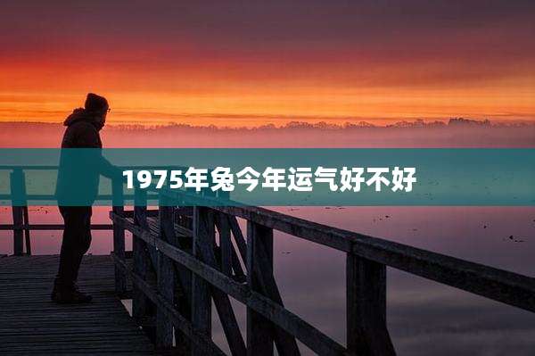 1975年兔今年运气好不好