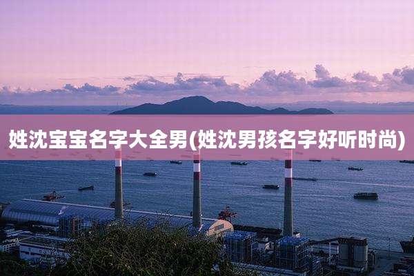 姓沈宝宝名字大全男(姓沈男孩名字好听时尚)