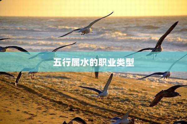 五行属水的职业类型