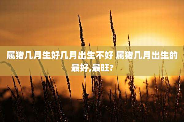 属猪几月生好几月出生不好 属猪几月出生的最好,最旺?