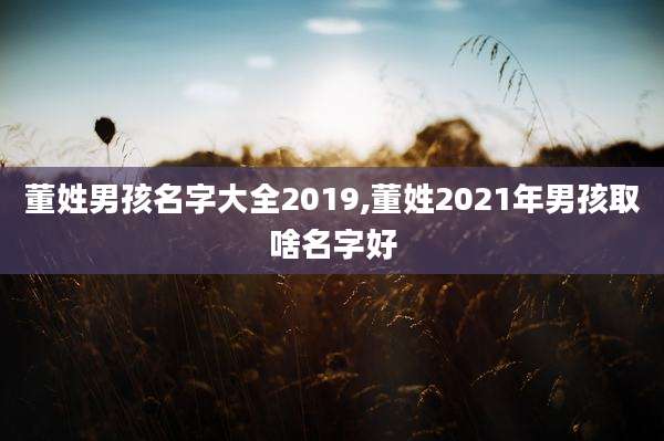 董姓男孩名字大全2019,董姓2021年男孩取啥名字好