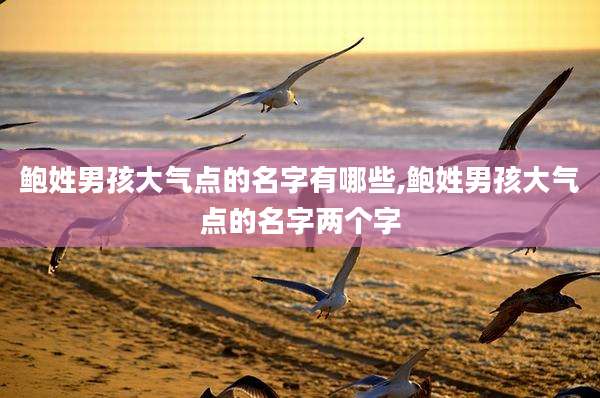 鲍姓男孩大气点的名字有哪些,鲍姓男孩大气点的名字两个字
