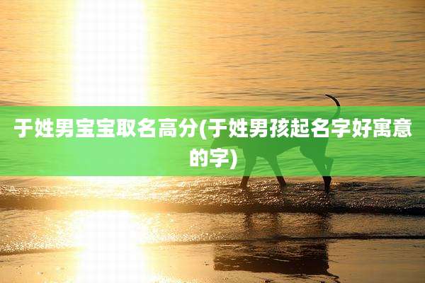 于姓男宝宝取名高分(于姓男孩起名字好寓意的字)