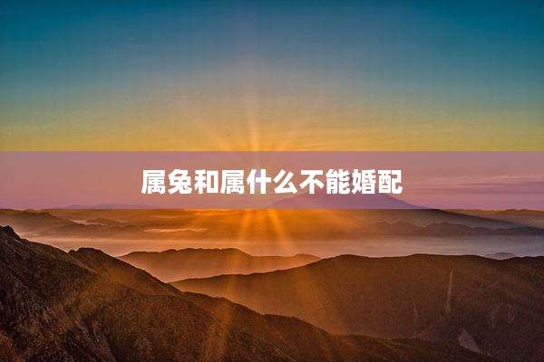 属兔和属什么不能婚配