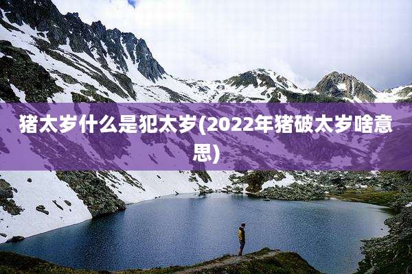 猪太岁什么是犯太岁(2022年猪破太岁啥意思)