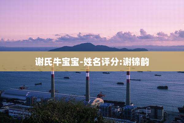 谢氏牛宝宝-姓名评分:谢锦韵