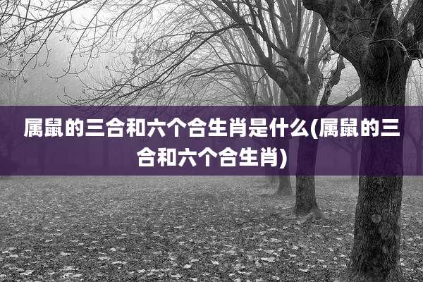 属鼠的三合和六个合生肖是什么(属鼠的三合和六个合生肖)