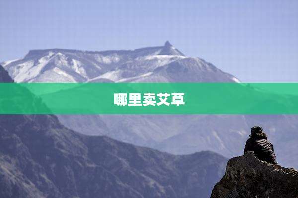 哪里卖艾草