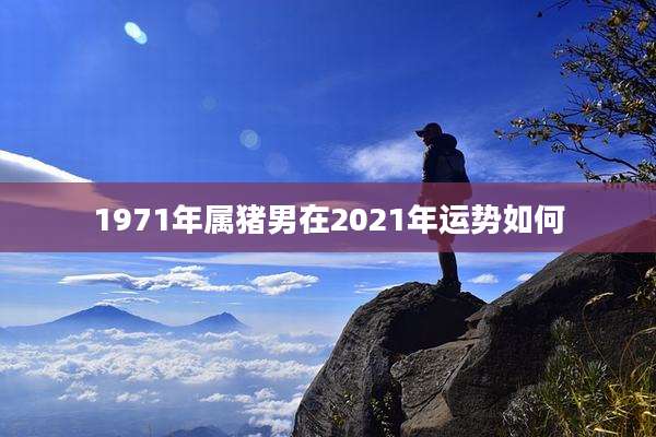 1971年属猪男在2021年运势如何