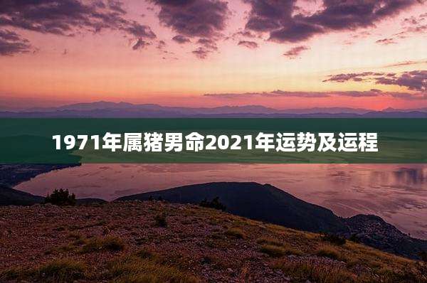 1971年属猪男命2021年运势及运程