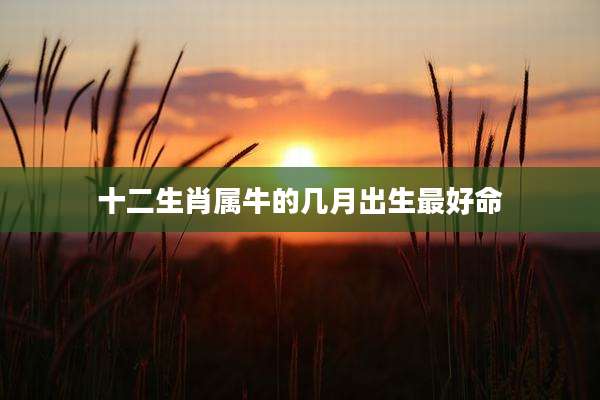 十二生肖属牛的几月出生最好命