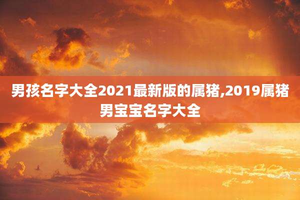 男孩名字大全2021最新版的属猪,2019属猪男宝宝名字大全