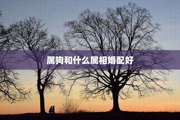 属狗和什么属相婚配好