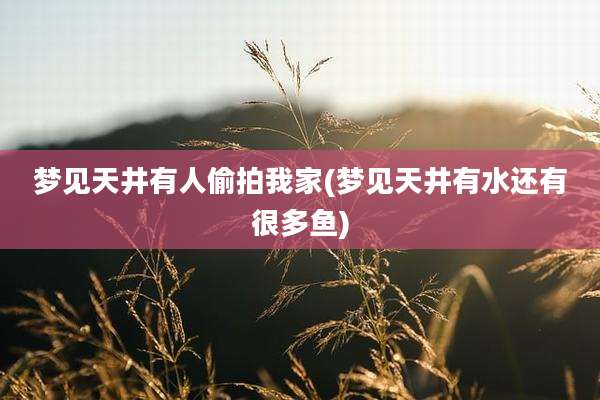 梦见天井有人偷拍我家(梦见天井有水还有很多鱼)