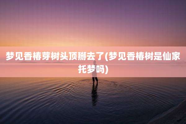 梦见香椿芽树头顶掰去了(梦见香椿树是仙家托梦吗)