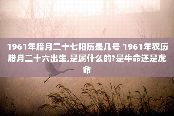 1961年腊月二十七阳历是几号 1961年农历腊月二十六出生,是属什么的?是牛命还是虎命