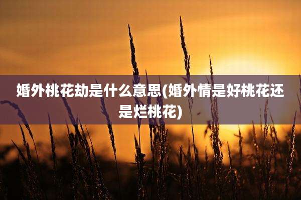 婚外桃花劫是什么意思(婚外情是好桃花还是烂桃花)