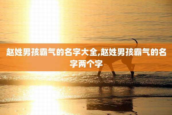 赵姓男孩霸气的名字大全,赵姓男孩霸气的名字两个字