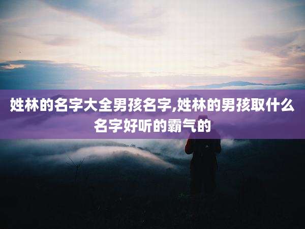姓林的名字大全男孩名字,姓林的男孩取什么名字好听的霸气的