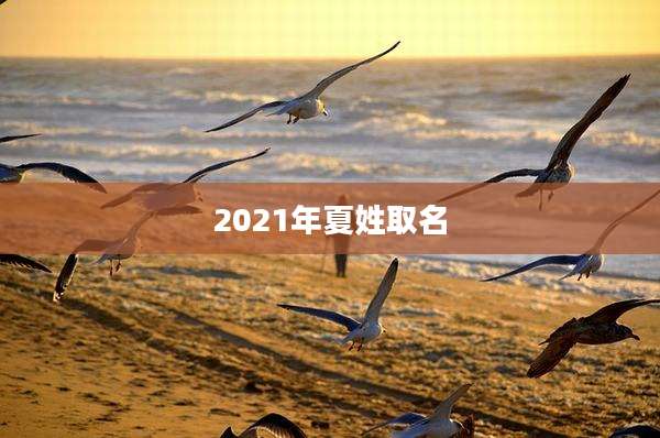 2021年夏姓取名