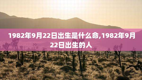 1982年9月22日出生是什么命,1982年9月22日出生的人