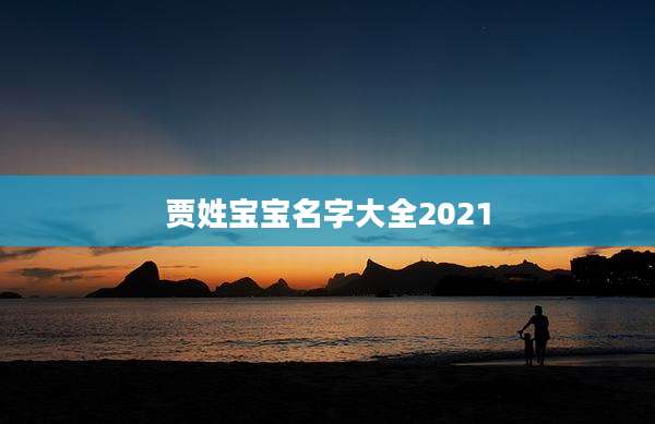 贾姓宝宝名字大全2021