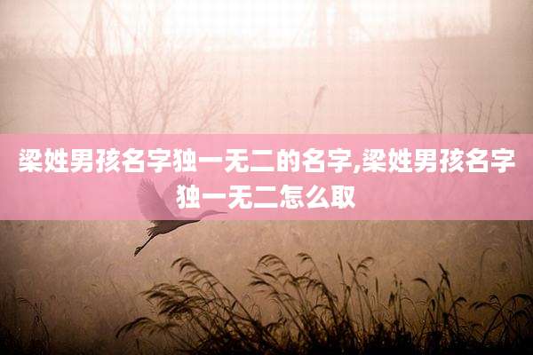 梁姓男孩名字独一无二的名字,梁姓男孩名字独一无二怎么取