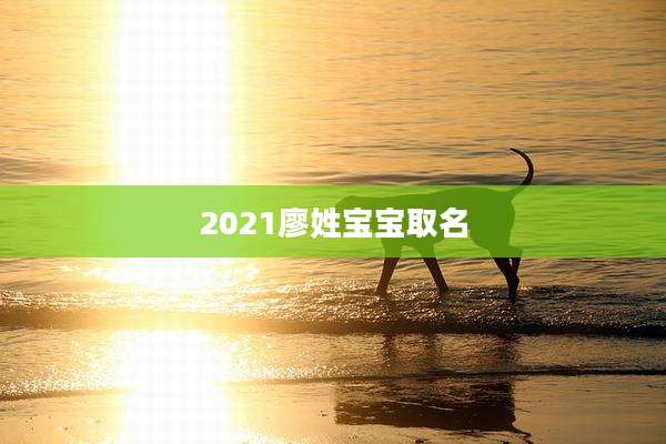 2021廖姓宝宝取名