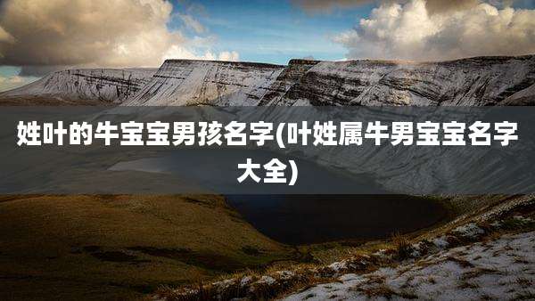 姓叶的牛宝宝男孩名字(叶姓属牛男宝宝名字大全)