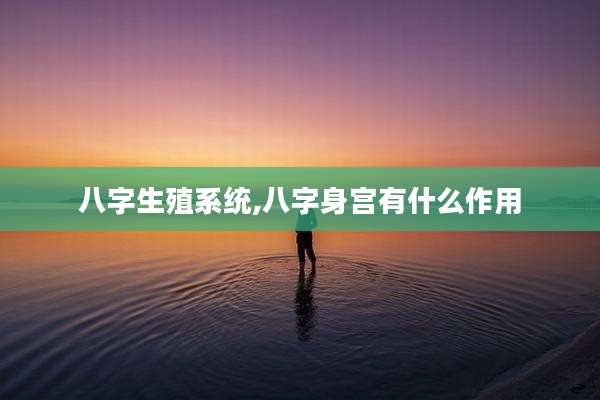 八字生殖系统,八字身宫有什么作用
