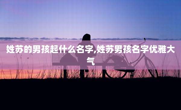 姓苏的男孩起什么名字,姓苏男孩名字优雅大气