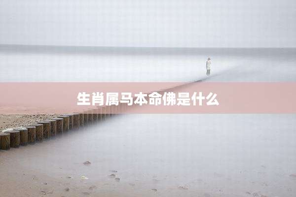 生肖属马本命佛是什么
