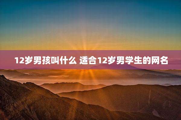 12岁男孩叫什么 适合12岁男学生的网名