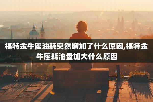 福特金牛座油耗突然增加了什么原因,福特金牛座耗油量加大什么原因