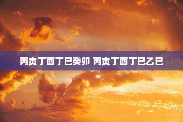 丙寅丁酉丁巳癸卯 丙寅丁酉丁巳乙巳