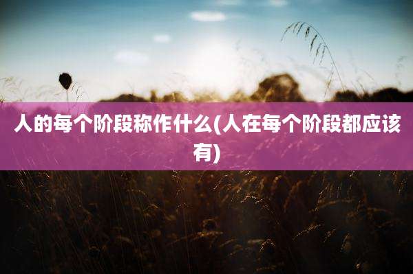 人的每个阶段称作什么(人在每个阶段都应该有)