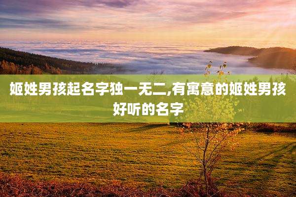 姬姓男孩起名字独一无二,有寓意的姬姓男孩好听的名字