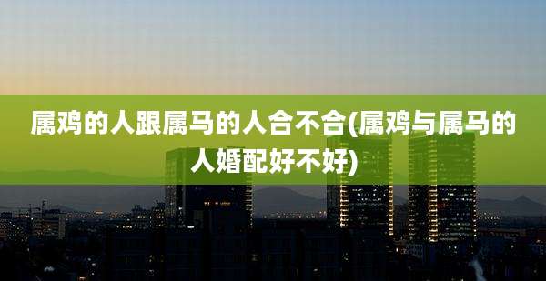 属鸡的人跟属马的人合不合(属鸡与属马的人婚配好不好)