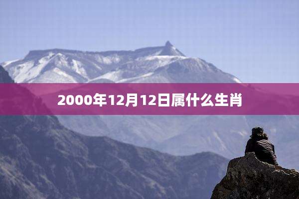 2000年12月12日属什么生肖