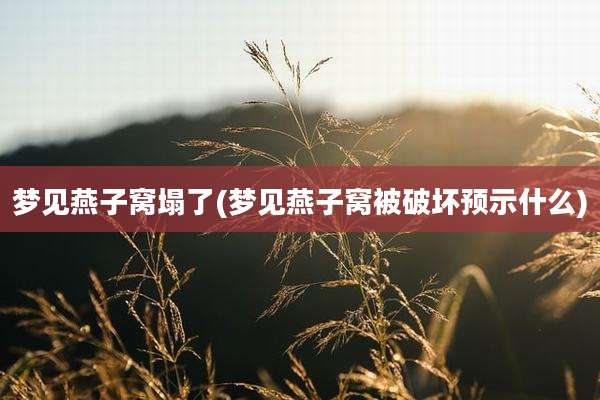梦见燕子窝塌了(梦见燕子窝被破坏预示什么)